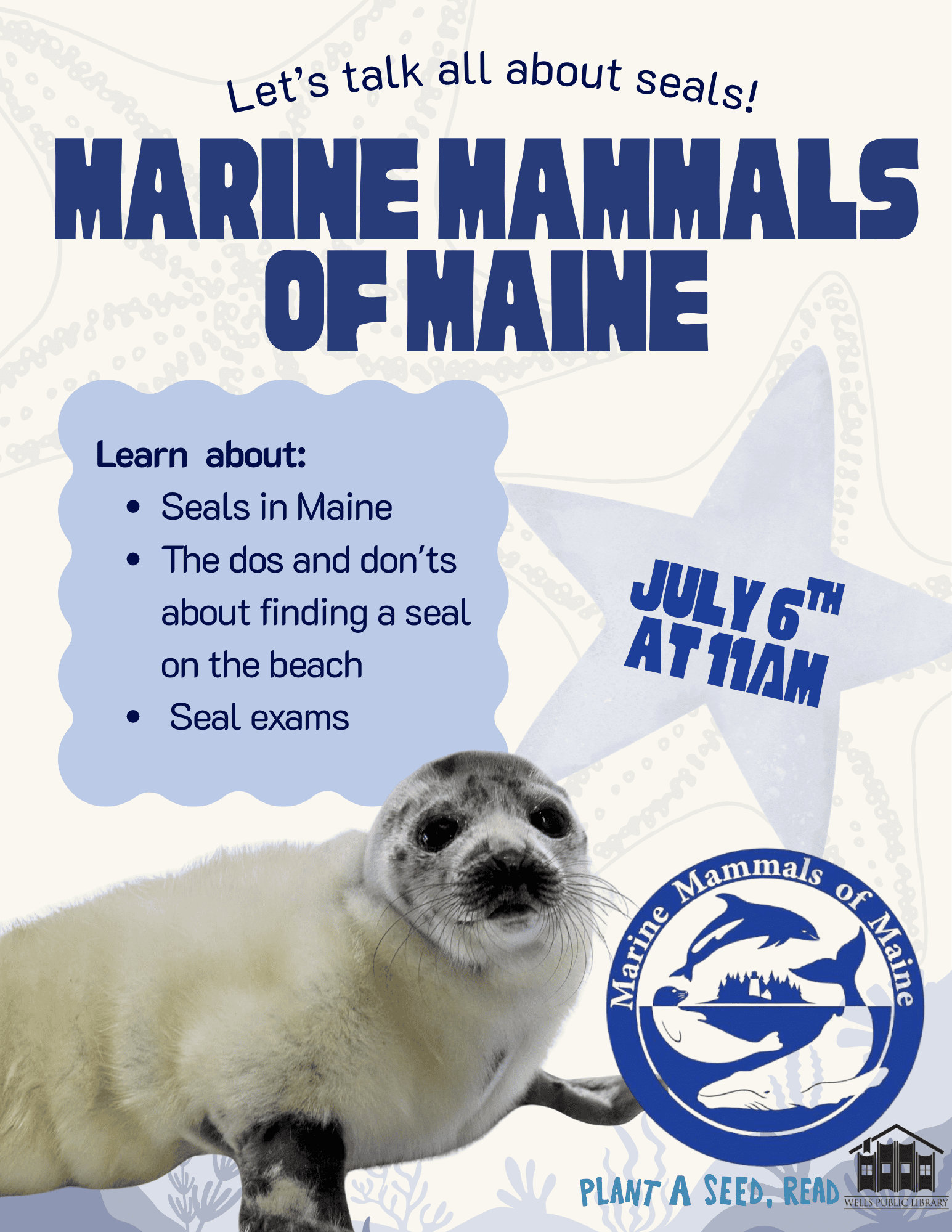 marine mammals