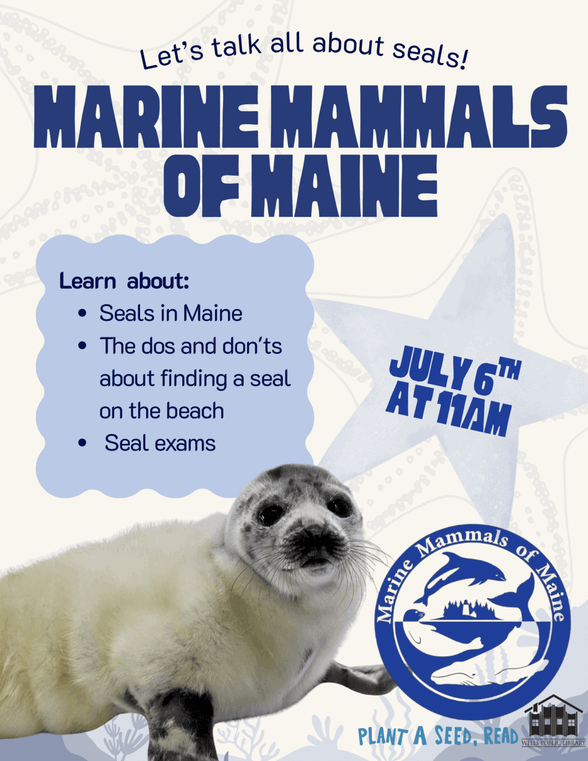 marine mammals